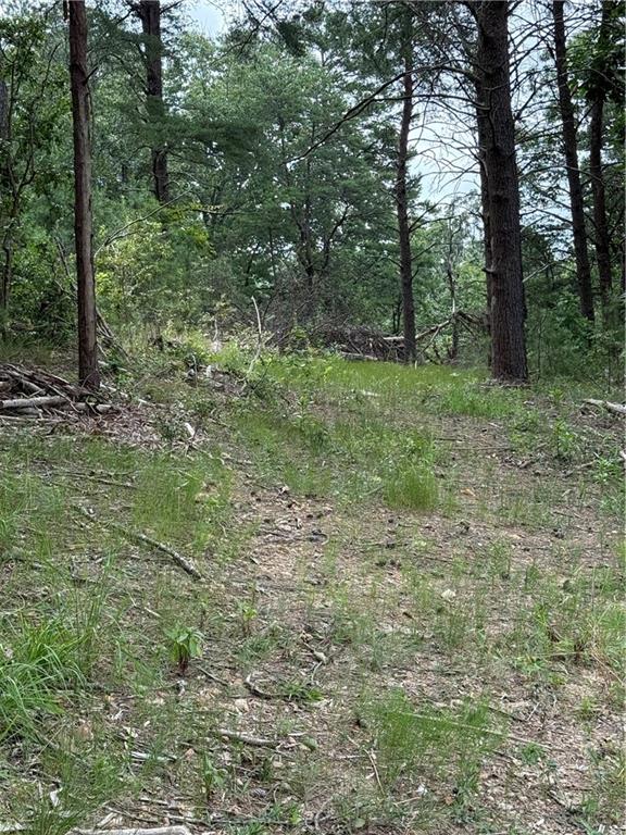 680 Fouche Gap Road Northwest Rome, GA 30165 - Photo 2 of 28 a view of outdoor space and green space
