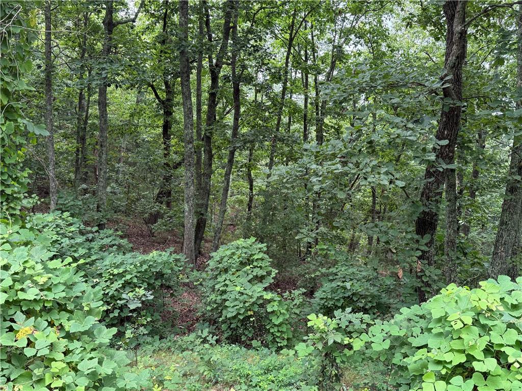 680 Fouche Gap Road Northwest Rome, GA 30165 - Photo 21 of 28