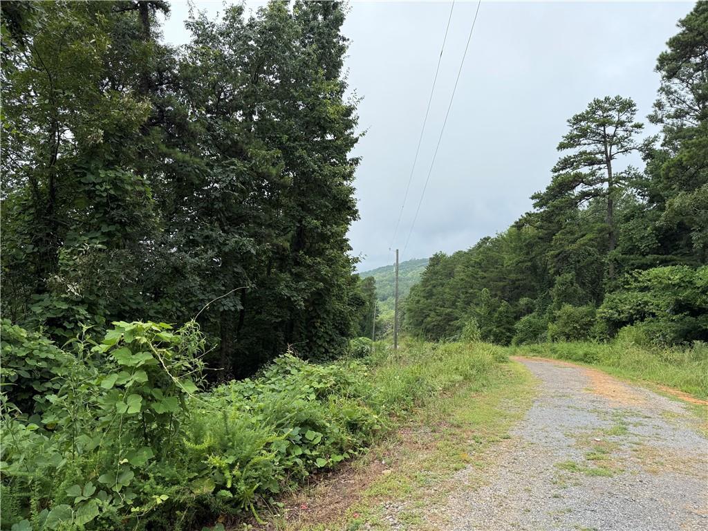 680 Fouche Gap Road Northwest Rome, GA 30165 - Photo 22 of 28 a view of a forest with a tree