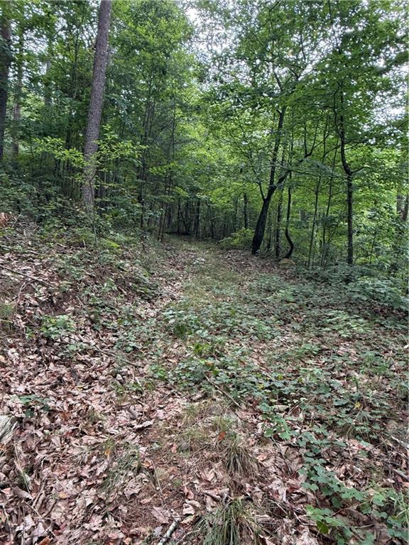 680 Fouche Gap Road Northwest Rome, GA 30165 - Photo 23 of 28 a view of a forest with trees in the background