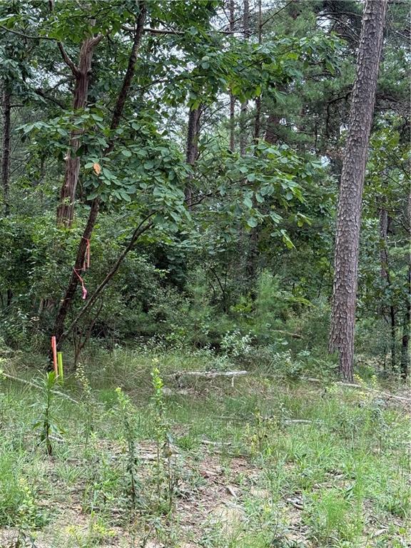 680 Fouche Gap Road Northwest Rome, GA 30165 - Photo 24 of 28 a fire hydrant in the middle of a forest