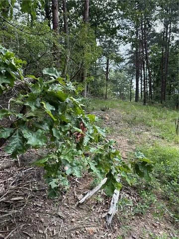a view of outdoor space with green field and trees