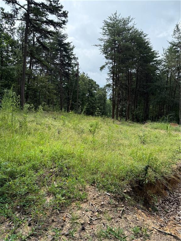680 Fouche Gap Road Northwest Rome, GA 30165 - Photo 26 of 28 a view of outdoor space with green field and trees