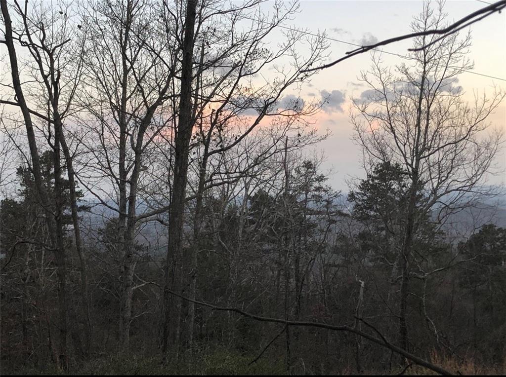 680 Fouche Gap Road Northwest Rome, GA 30165 - Photo 28 of 28 a backyard of a house with lots of trees