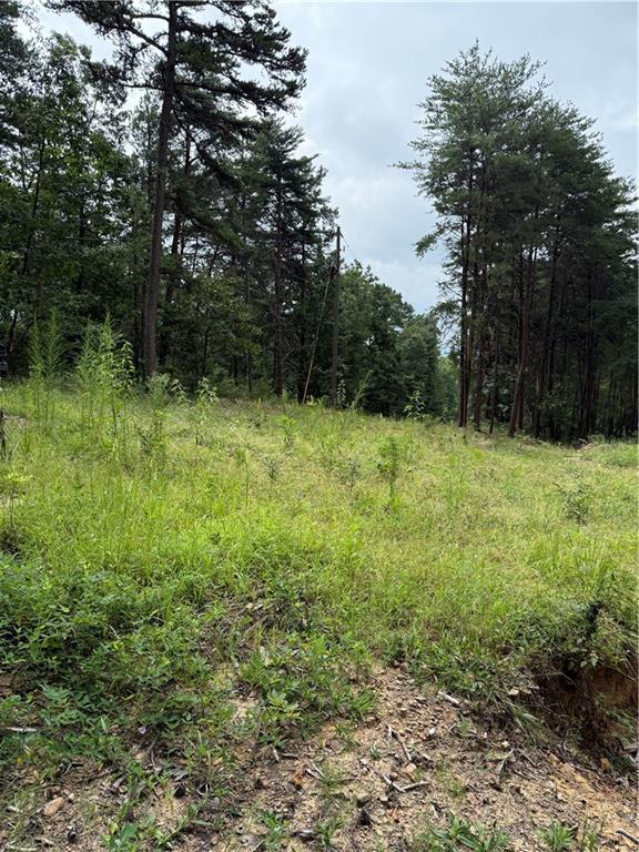 680 Fouche Gap Road Northwest Rome, GA 30165 - Photo 3 of 28 a backyard of a house with lots of plants and trees