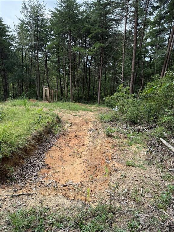 680 Fouche Gap Road Northwest Rome, GA 30165 - Photo 4 of 28 a backyard of a house with lots of green space