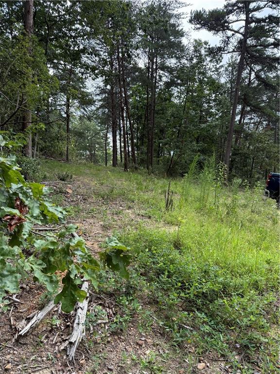 680 Fouche Gap Road Northwest Rome, GA 30165 - Photo 5 of 28 a big yard with lots of green space and deers