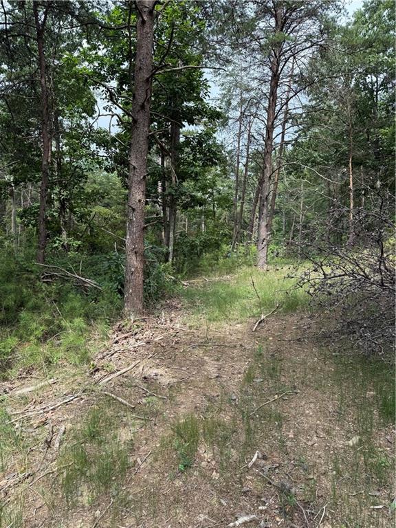 680 Fouche Gap Road Northwest Rome, GA 30165 - Photo 6 of 28 a view of a yard with a tree