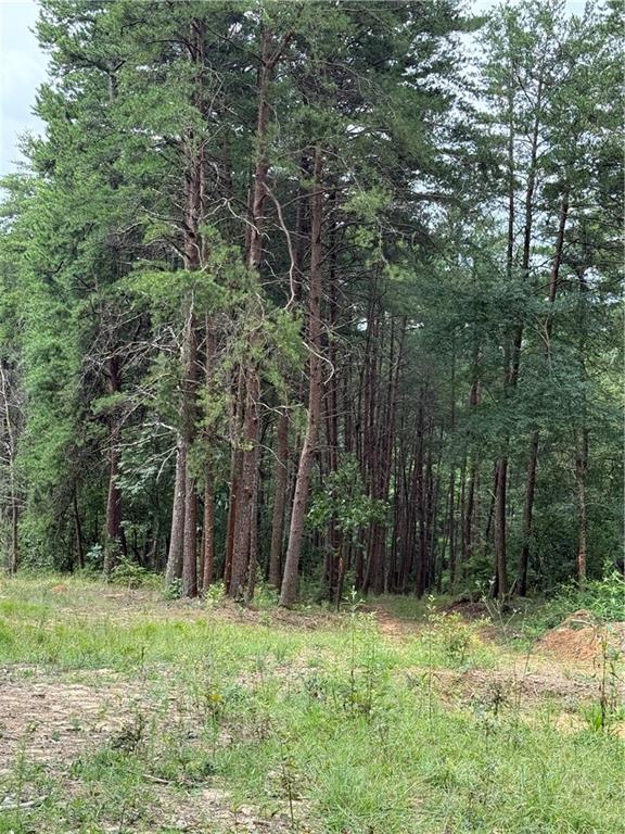 680 Fouche Gap Road Northwest Rome, GA 30165 - Photo 7 of 28 a backyard of a house with lots of plants and seating