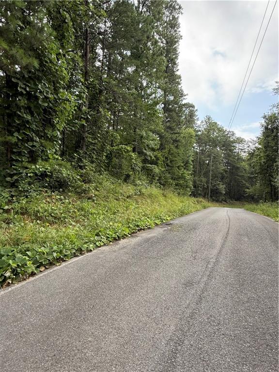 680 Fouche Gap Road Northwest Rome, GA 30165 - Photo 8 of 28 a view of a field with plants and trees in the background
