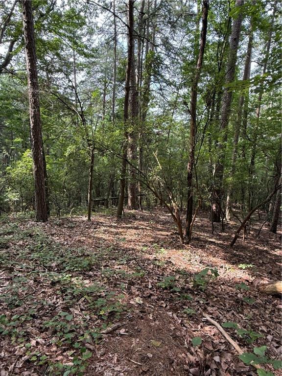 680 Fouche Gap Road Northwest Rome, GA 30165 - Photo 10 of 28 a view of a forest with trees in the background