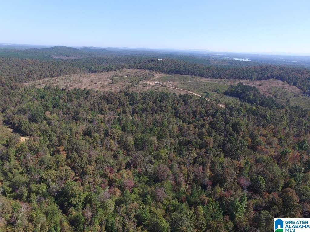 Sprayberry Road, Unit 103 Cropwell, AL 35054 - Photo 5 of 48