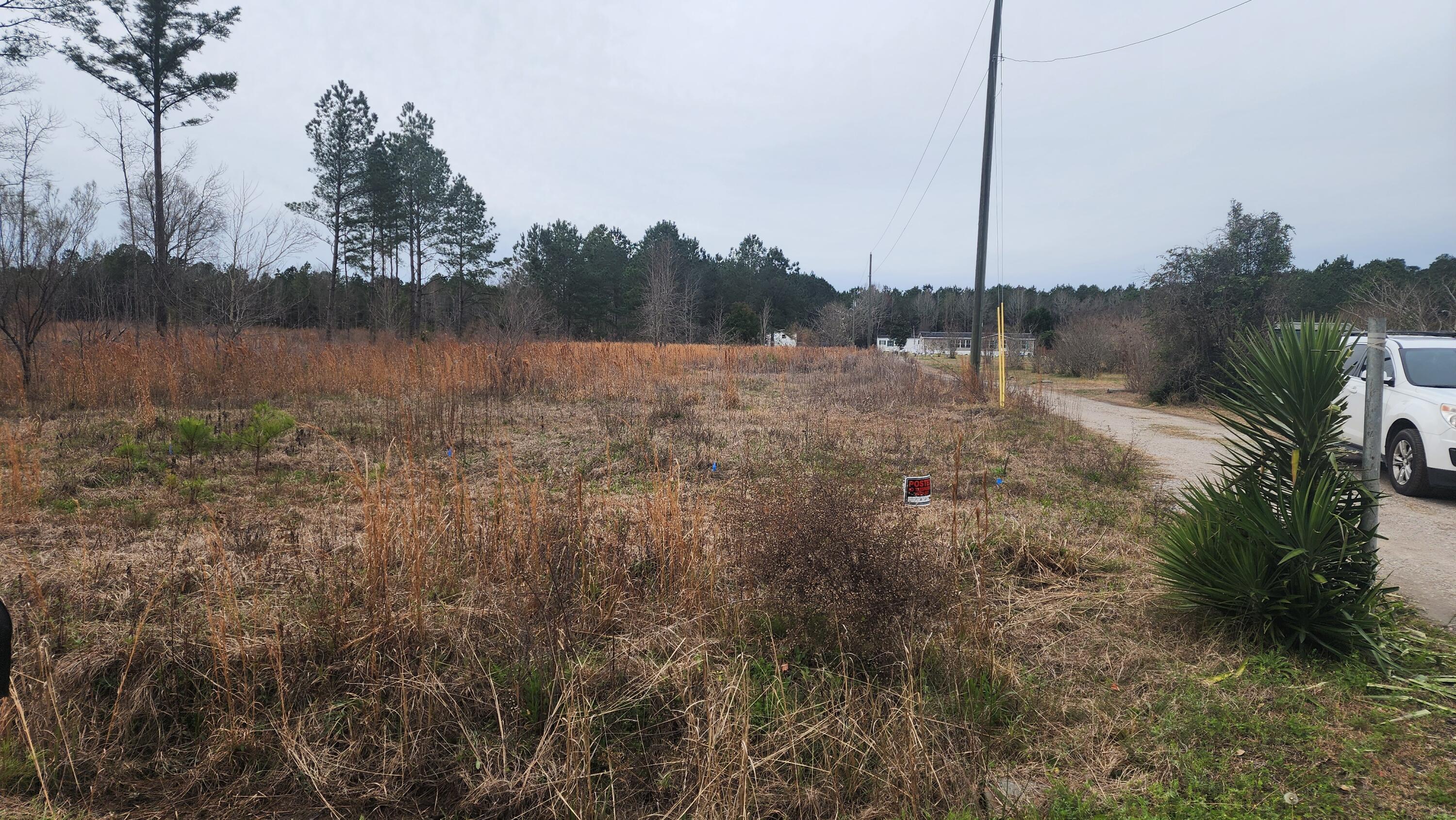 0 Target Rd/bunch Ford Road Holly Hill, SC 29059 - Photo 3 of 3 Target Land