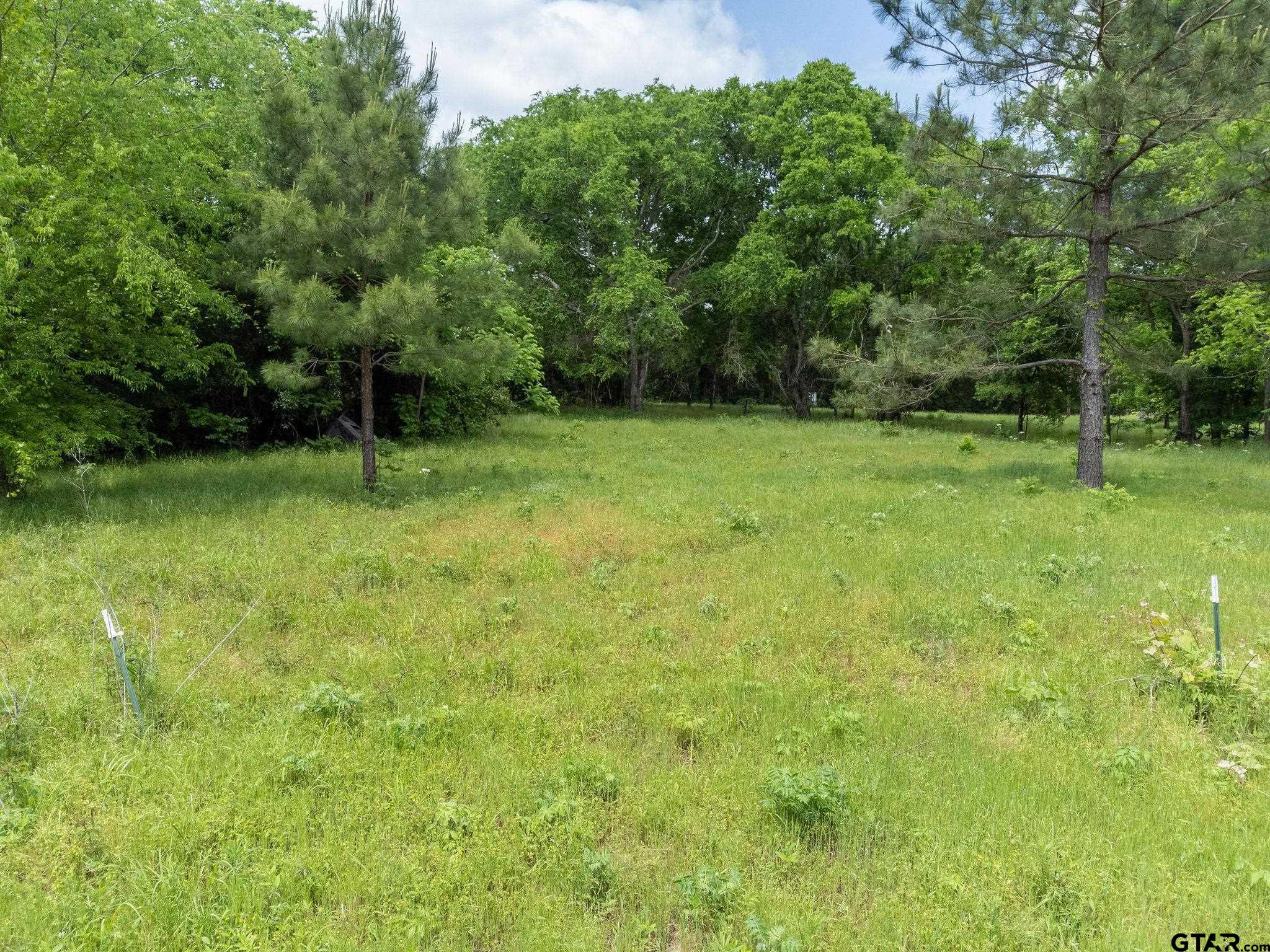 a view of field with trees in the background