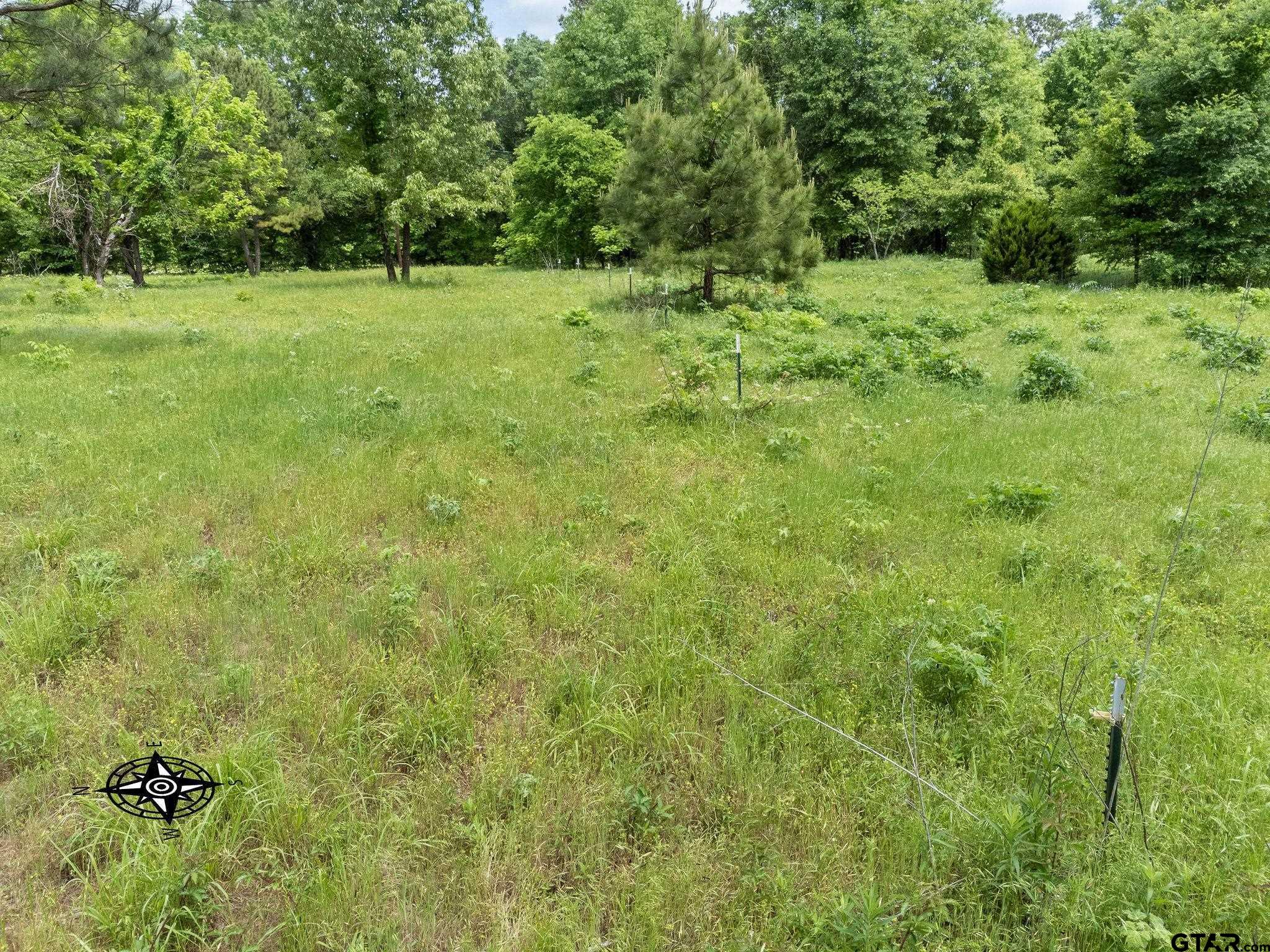 2255 Tyler Tx 75708 Tyler, TX 75708 - Photo 11 of 16 a view of outdoor space with deck and yard