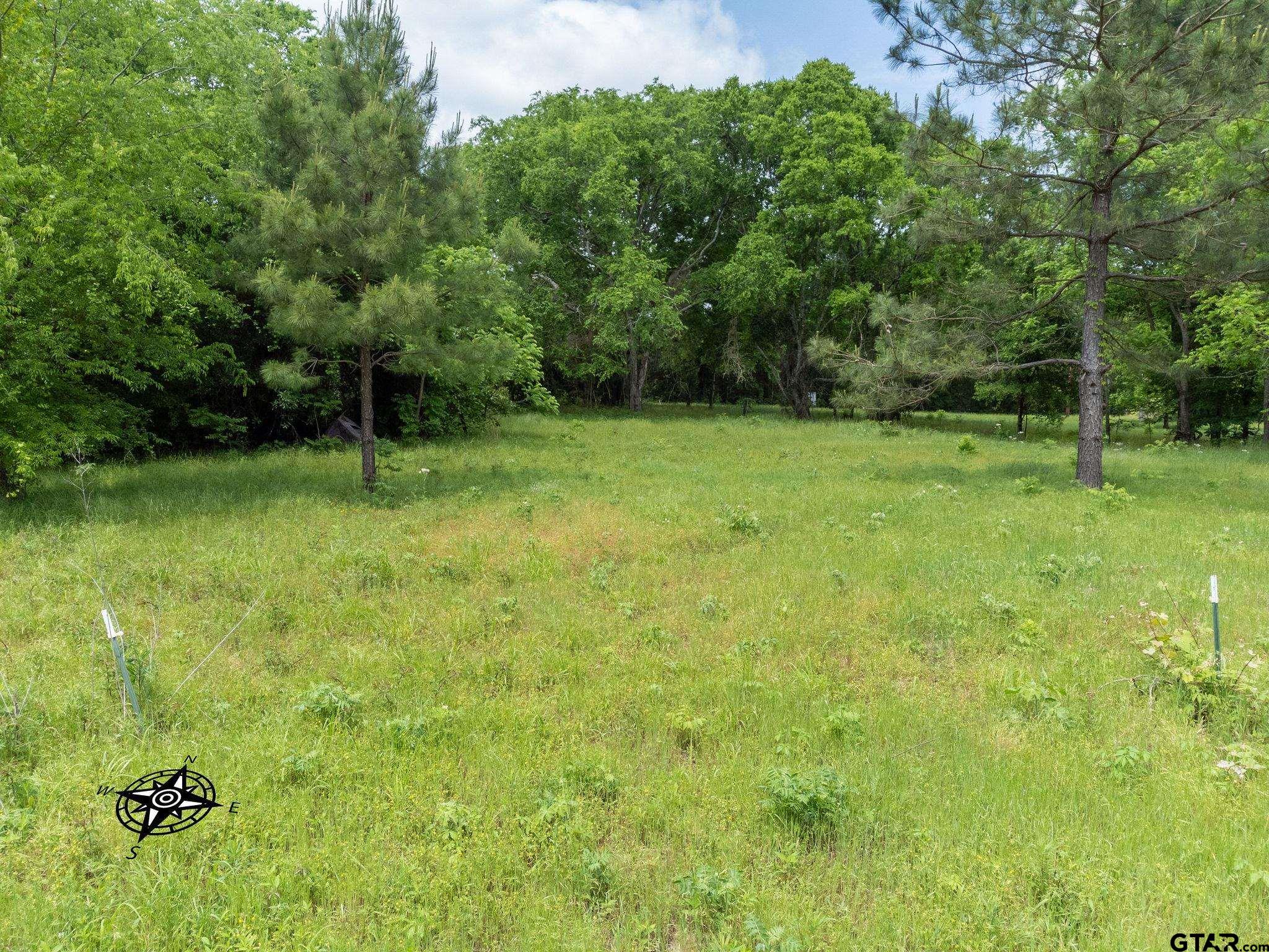 2255 Tyler Tx 75708 Tyler, TX 75708 - Photo 16 of 16 a view of field with green space
