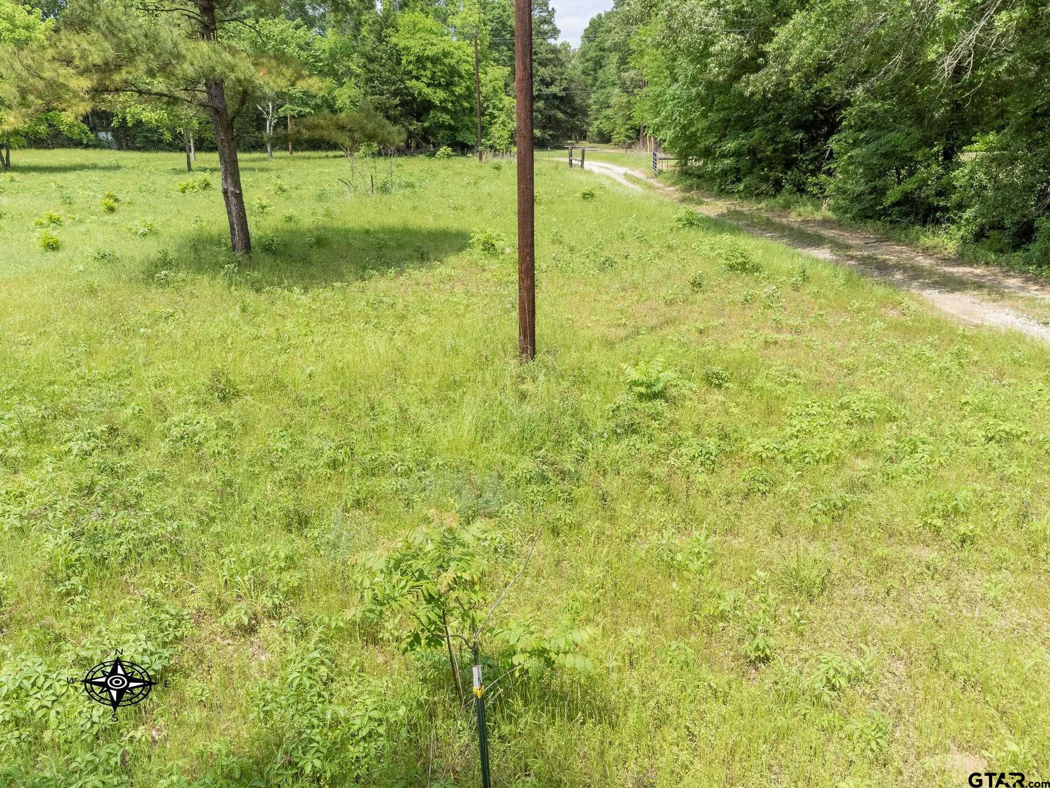 2255 Tyler Tx 75708 Tyler, TX 75708 - Photo 9 of 16 a view of a yard with a tree