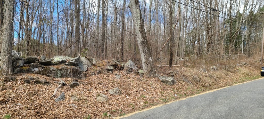 0 Prouty Road Hardwick, MA 01037 - Photo 3 of 5