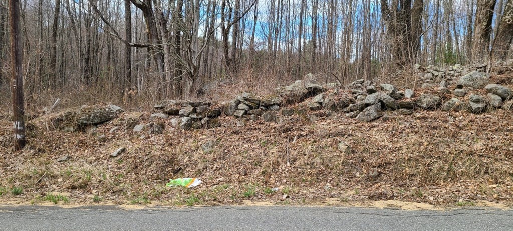 0 Prouty Road Hardwick, MA 01037 - Photo 4 of 5