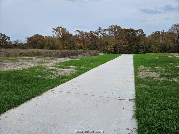 a view of a field with a yard
