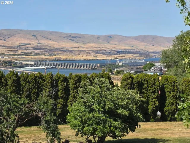 a backyard of a house with plants and large trees
