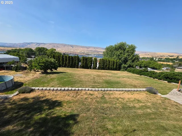 a view of a field with trees in the background