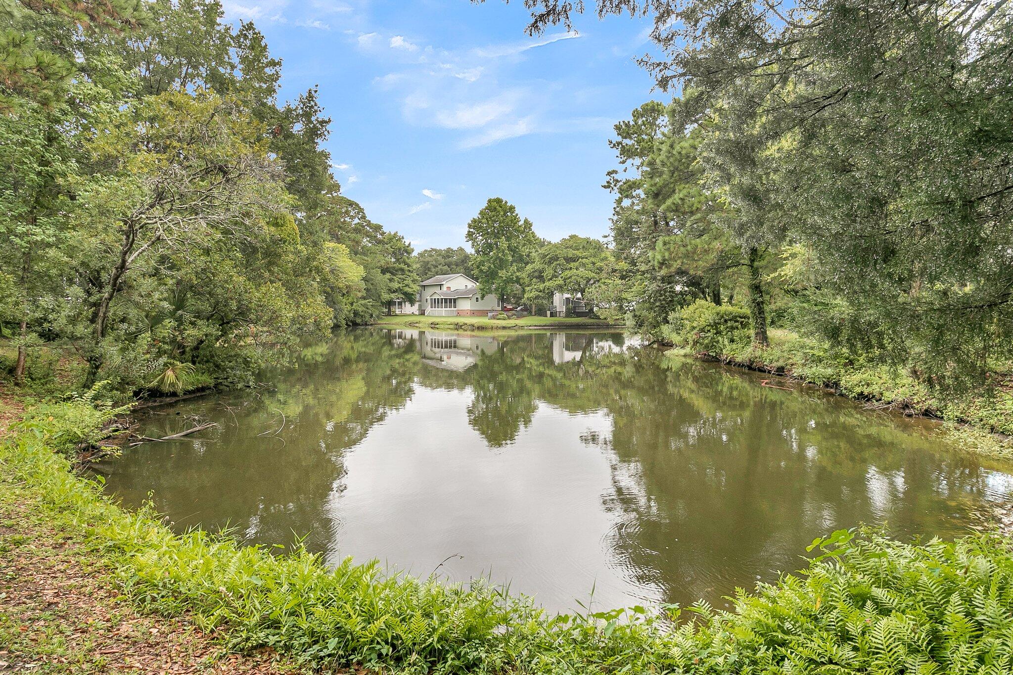 1484 Oak Landing Road Mount Pleasant, SC 29464 - Photo 23 of 28 The serene Lake seen from the house