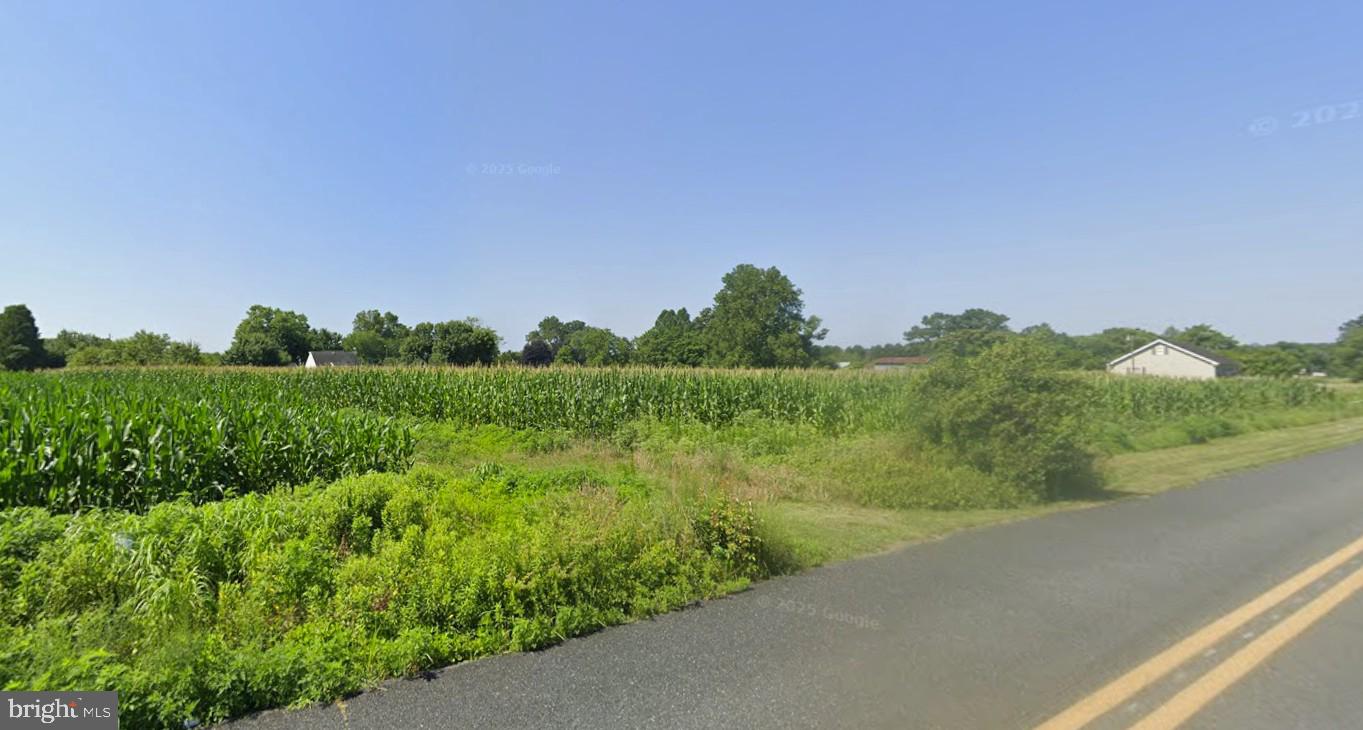 Lot 3 Main Street Pittsville, MD 21850 - Photo 4 of 6