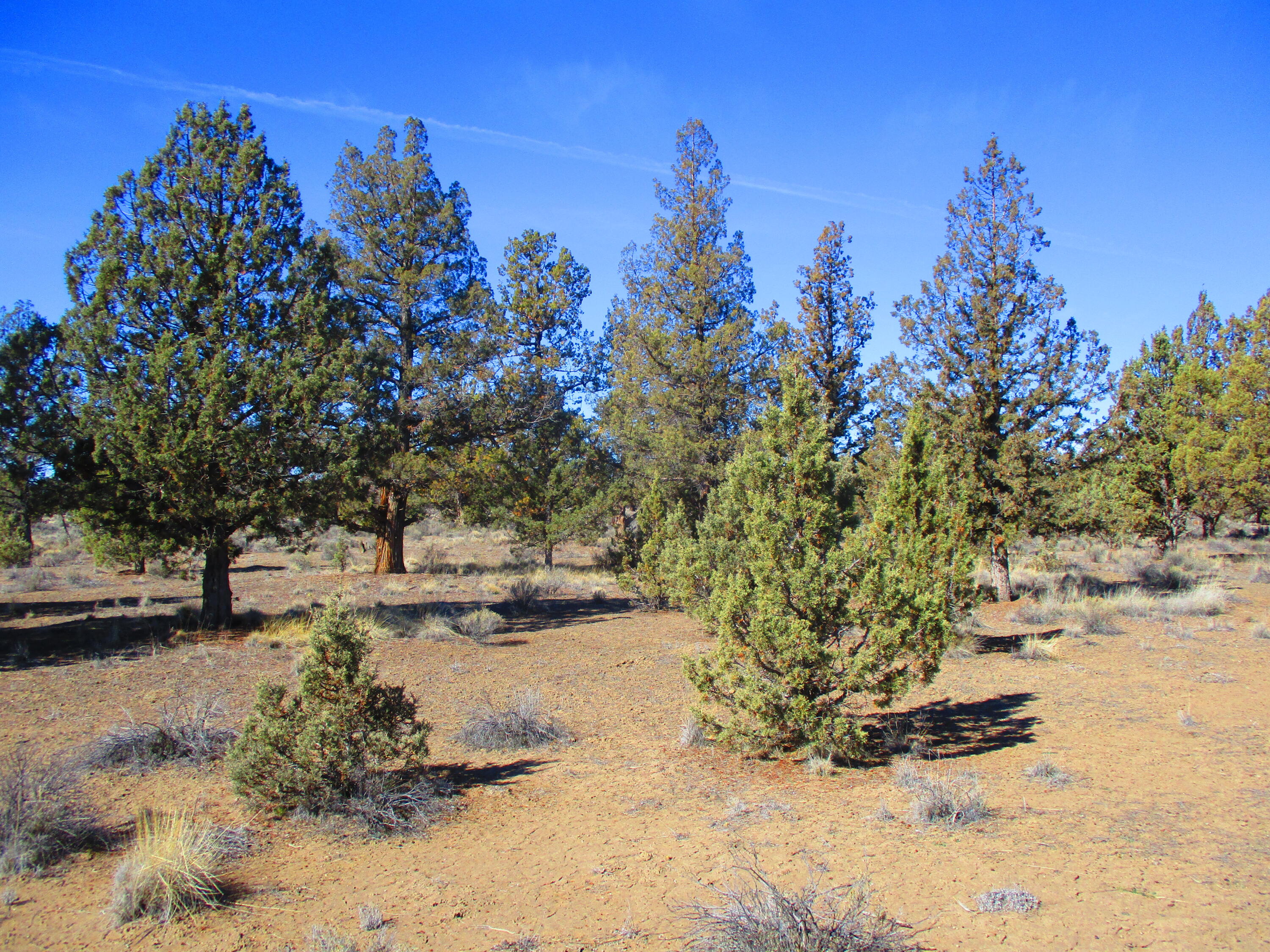 Tl1700 Southeast Mohawk Road Prineville, OR 97754 - Photo 19 of 21 20