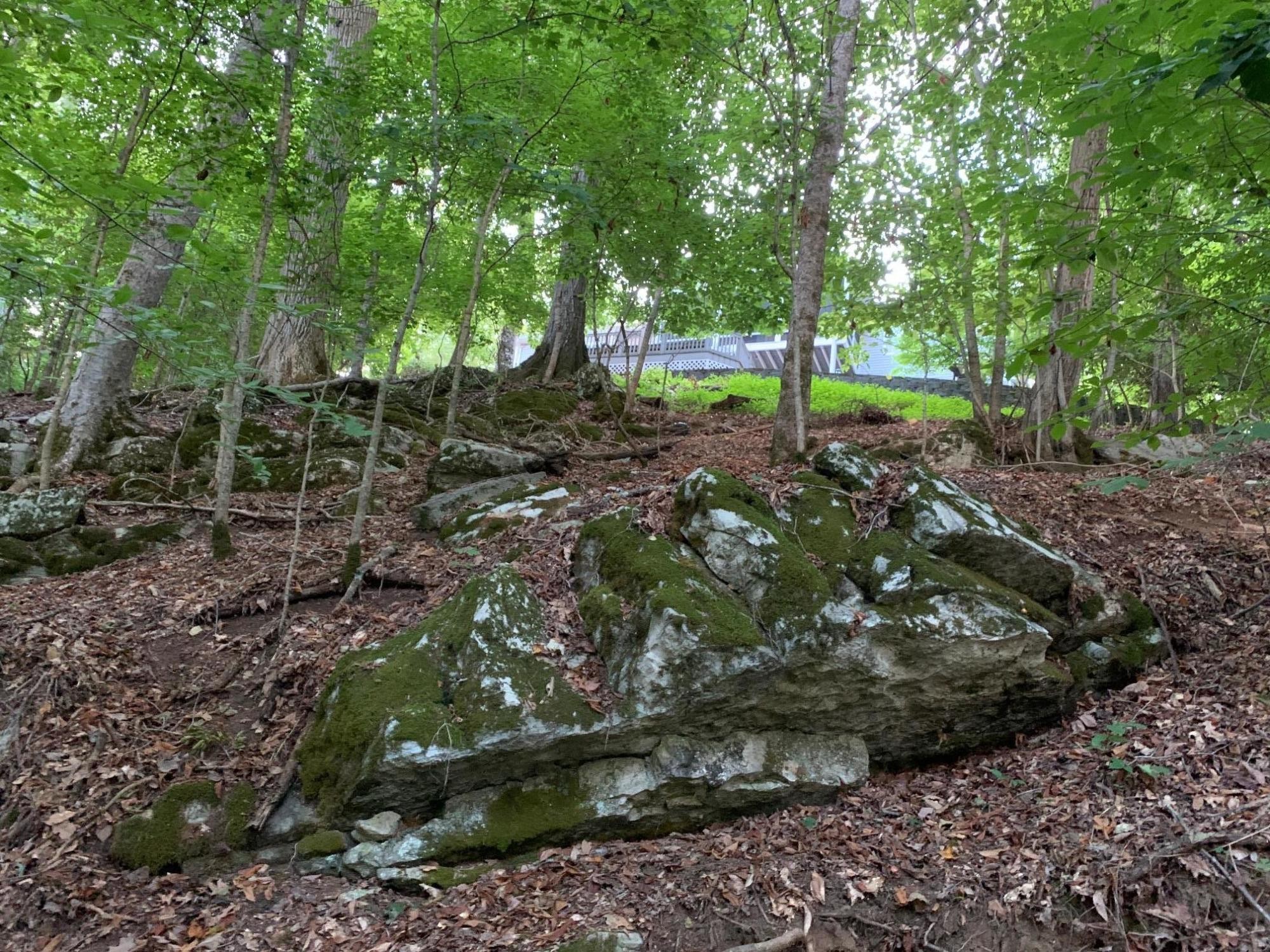 1444 Indian Warpath Road Sevierville, TN 37876 - Photo 29 of 39 Gallery Image 29