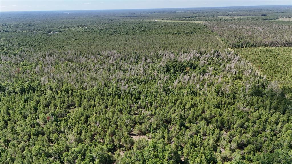 Union Way Lee, FL 32059 - Photo 13 of 15