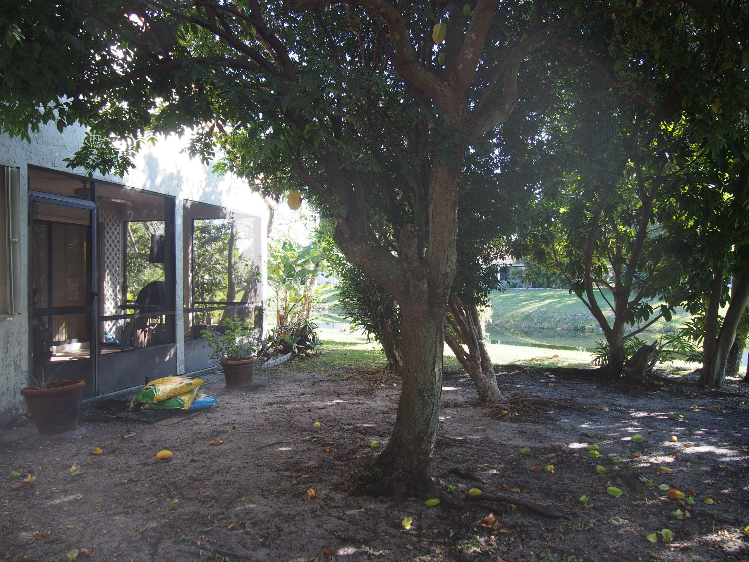 21732 Birch State Park Way Boca Raton, FL 33428 - Photo 3 of 25 Rear