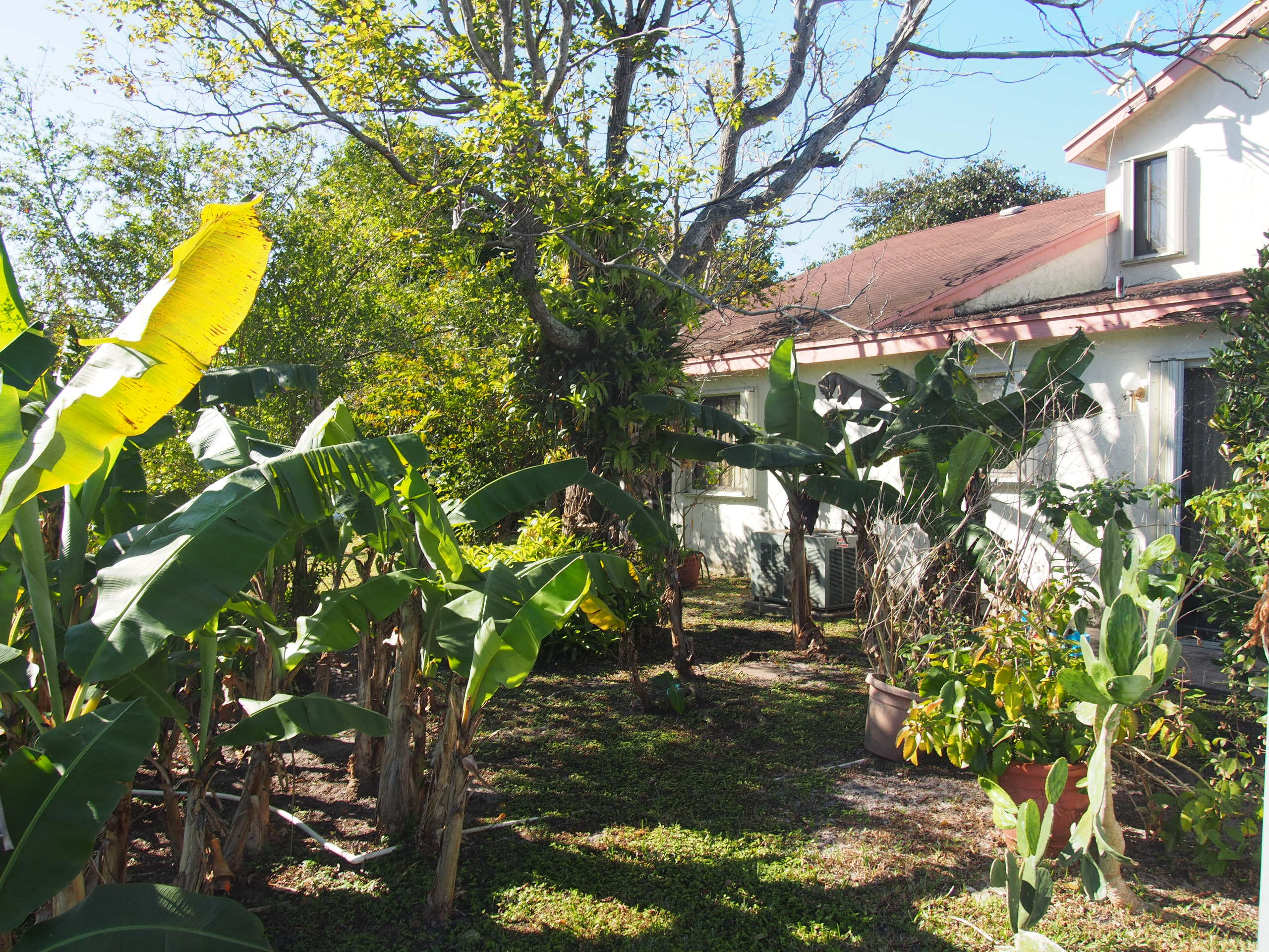 21732 Birch State Park Way Boca Raton, FL 33428 - Photo 8 of 25 Back Yard
