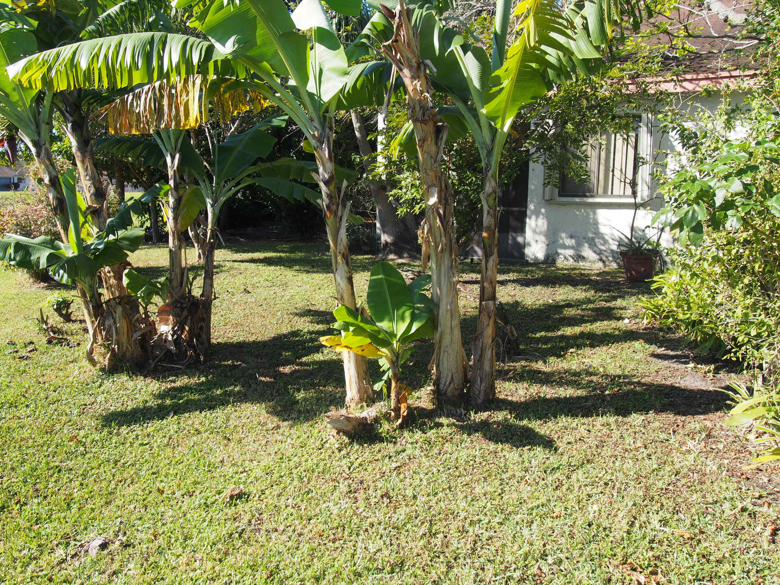21732 Birch State Park Way Boca Raton, FL 33428 - Photo 9 of 25 Back