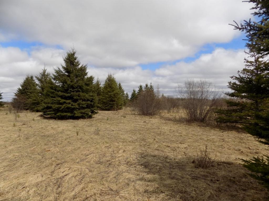 548 County Road 548 Cook, MN 55723 - Photo 1 of 1 Gallery Image 1