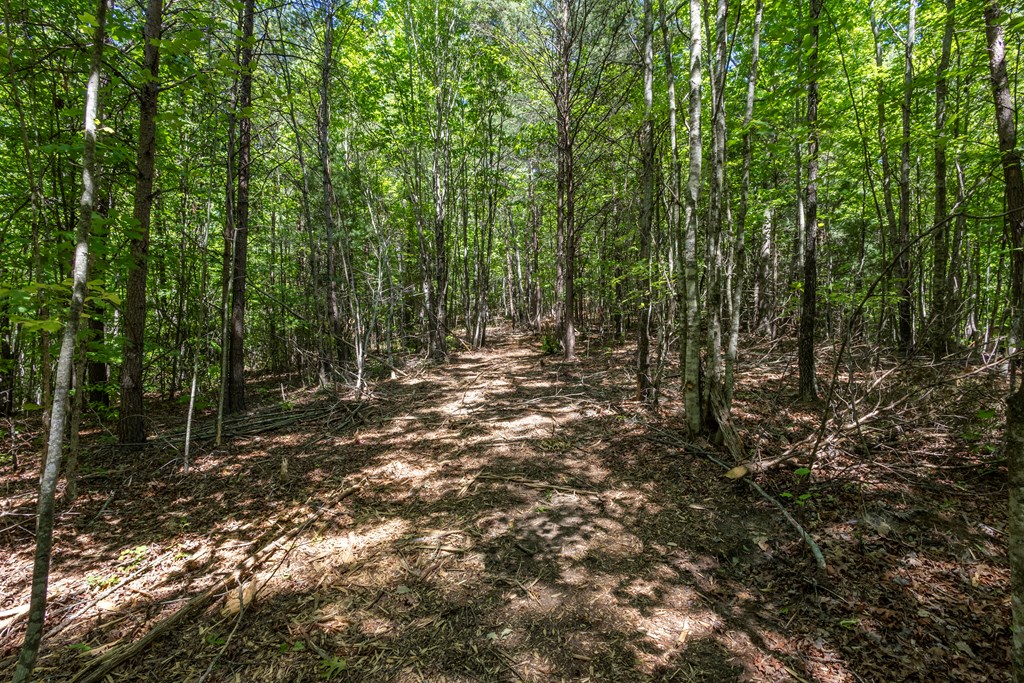 20-ac Pack Mountain Road Murphy, NC 28906 - Photo 8 of 20
