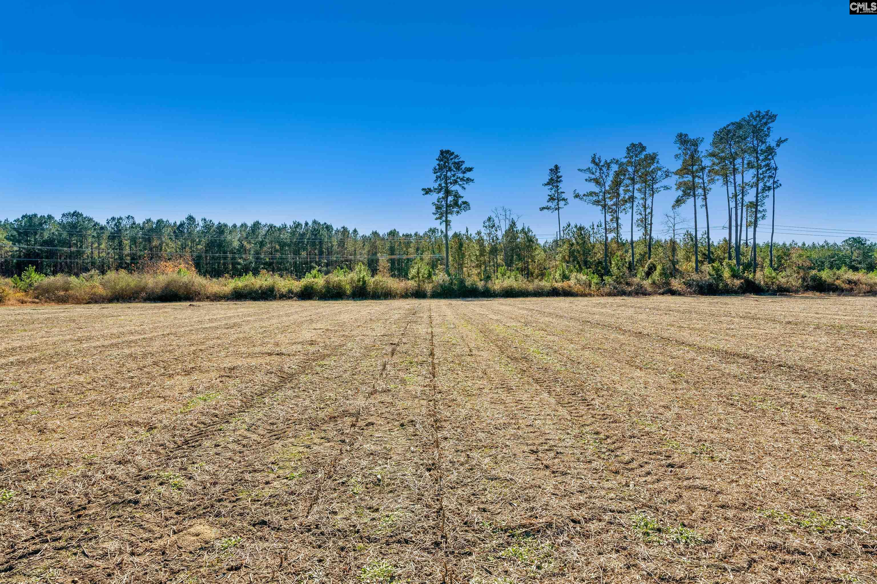 1745 Williams Hill Road Hemingway, SC 29554 - Photo 15 of 25