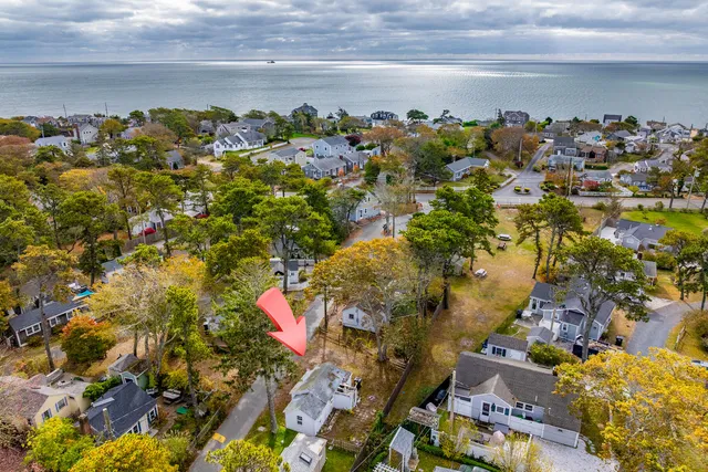 a view of a yard with plants
