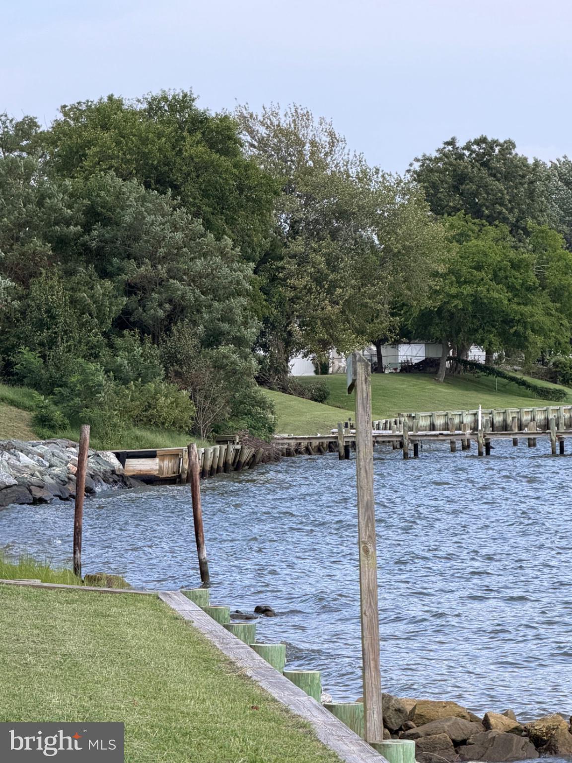 24357 Longview Road Chaptico, MD 20621 - Photo 20 of 22 Serene waterfront with lush greenery.