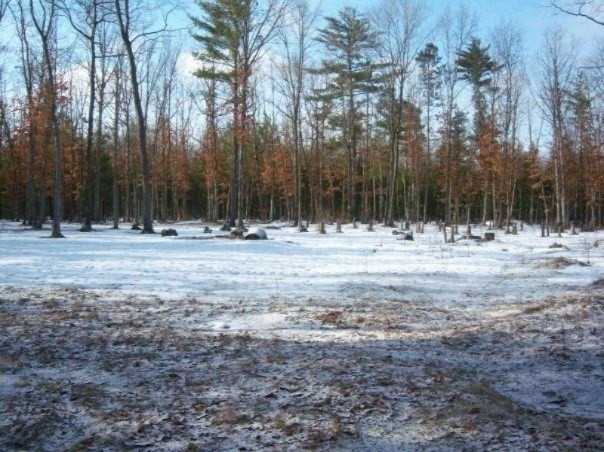 9145 South 116th Rothbury, MI 49452 - Photo 11 of 26 1924031_1043774353266_4860336_n