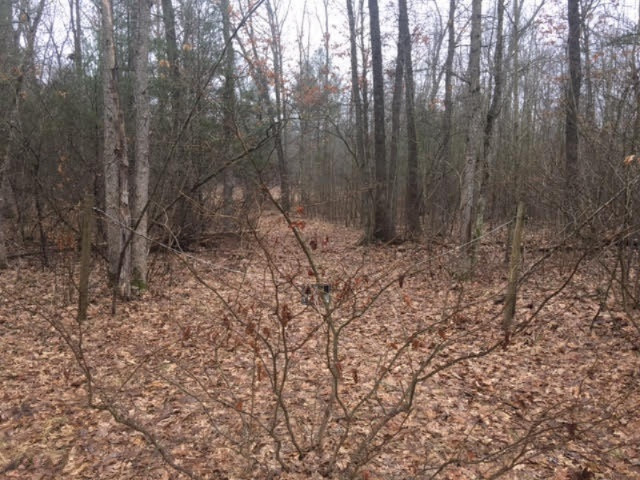 9145 South 116th Rothbury, MI 49452 - Photo 15 of 26 Near Clearing