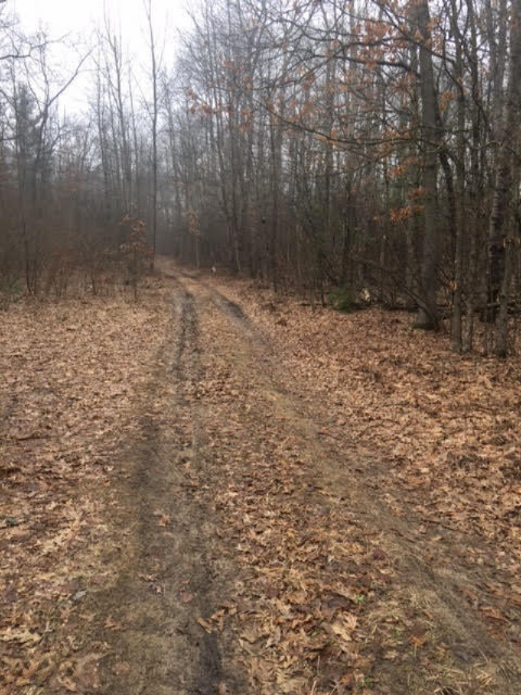 9145 South 116th Rothbury, MI 49452 - Photo 18 of 26 Trail