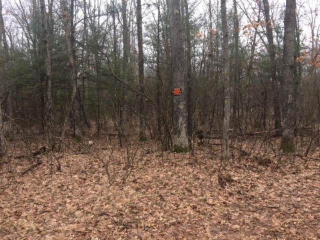 9145 South 116th Rothbury, MI 49452 - Photo 19 of 26 No Tresspassing Marker