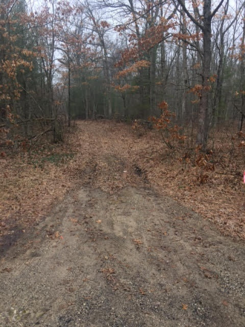 9145 South 116th Rothbury, MI 49452 - Photo 20 of 26 Trail