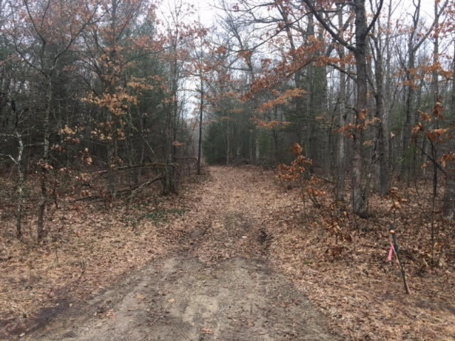 9145 South 116th Rothbury, MI 49452 - Photo 21 of 26 Trail Through Property