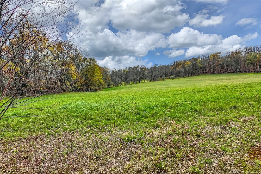Lot 3 Brownell Road Bloomville, NY 13739 - Photo 11 of 35
