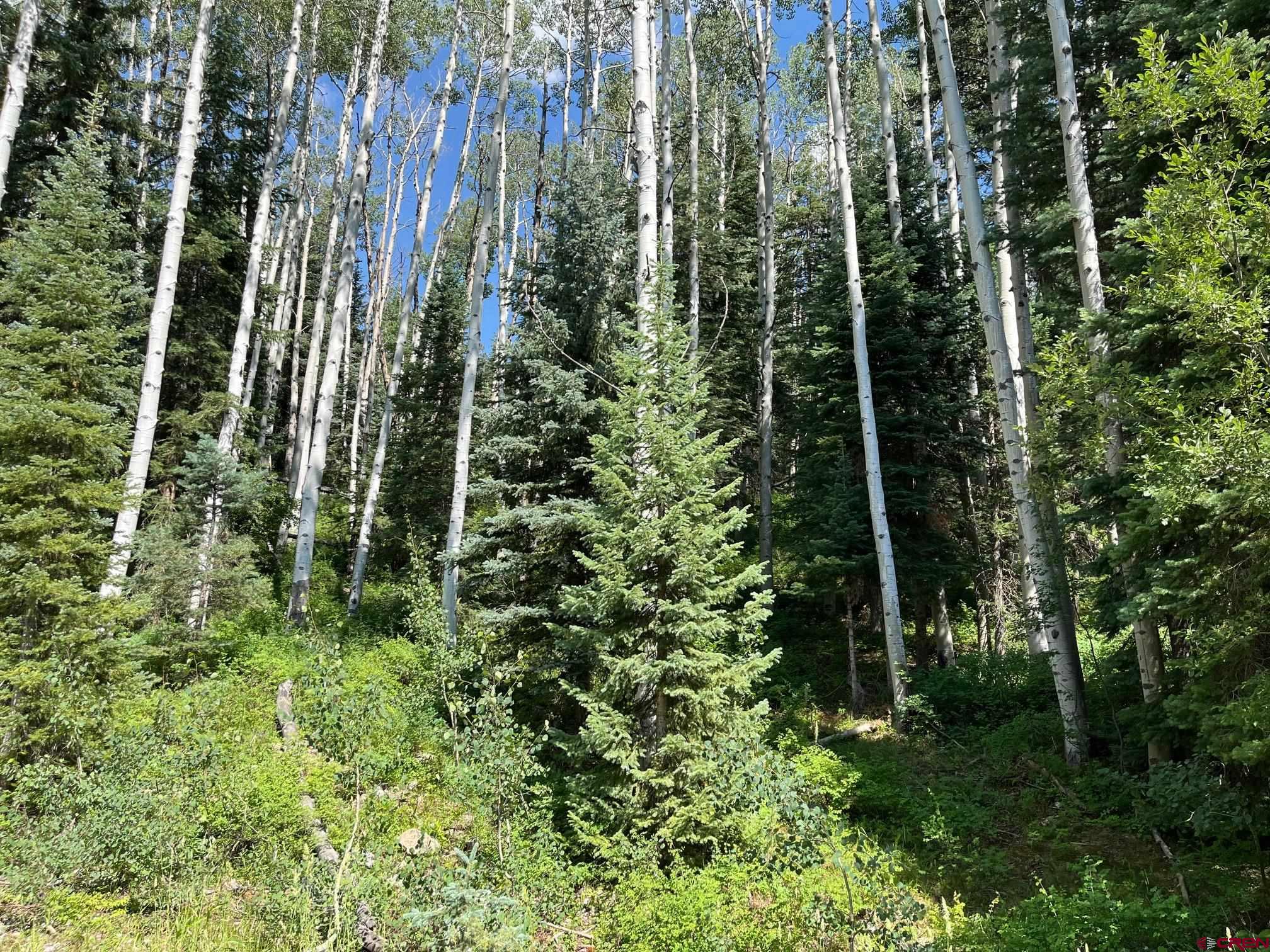 158 Engineer Drive Durango, CO 81301 - Photo 2 of 7 a view of yard and small trees