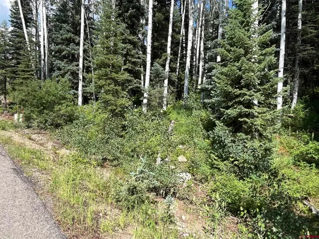 a view of outdoor space and trees