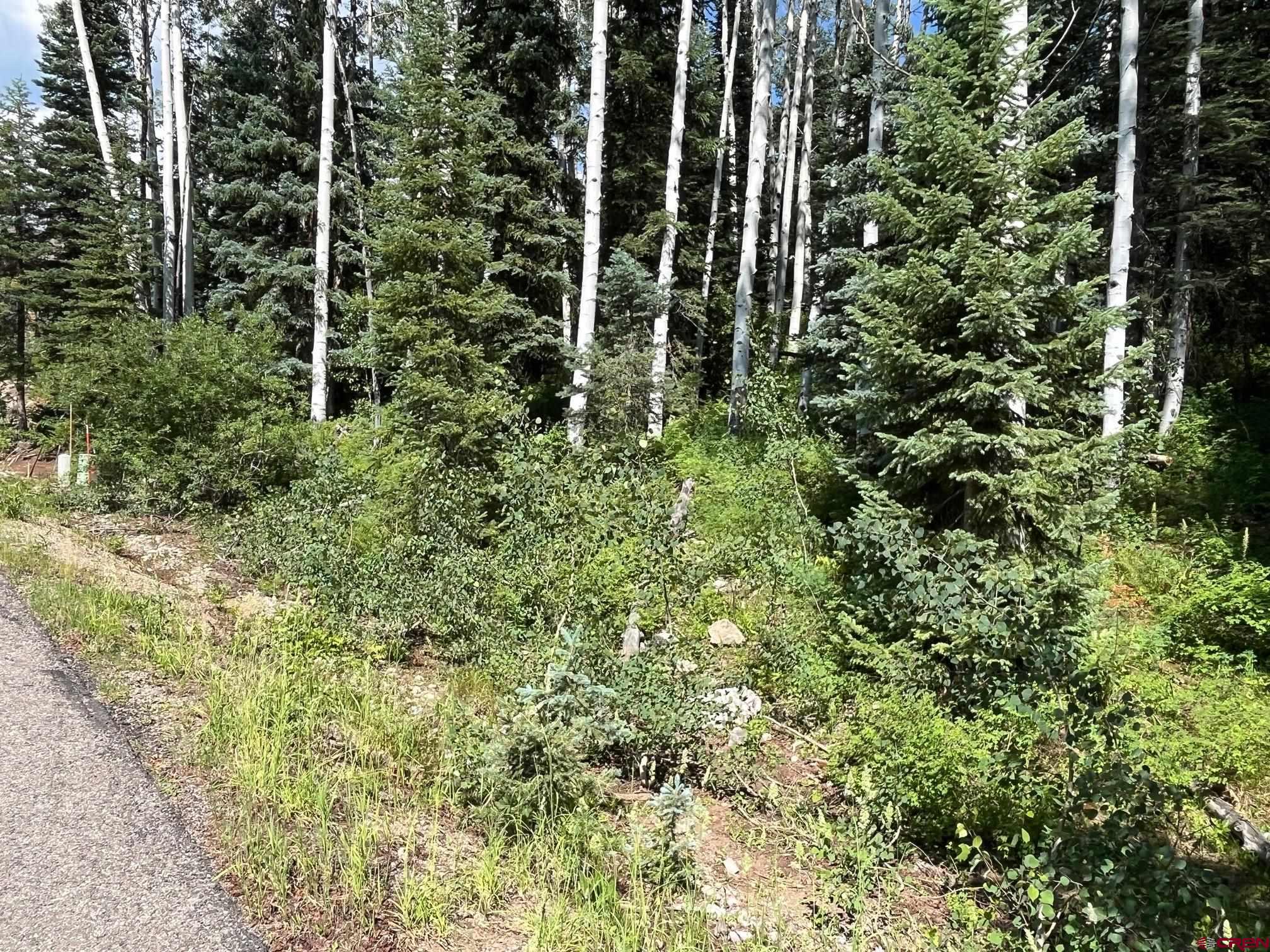 158 Engineer Drive Durango, CO 81301 - Photo 3 of 7 a view of outdoor space and trees