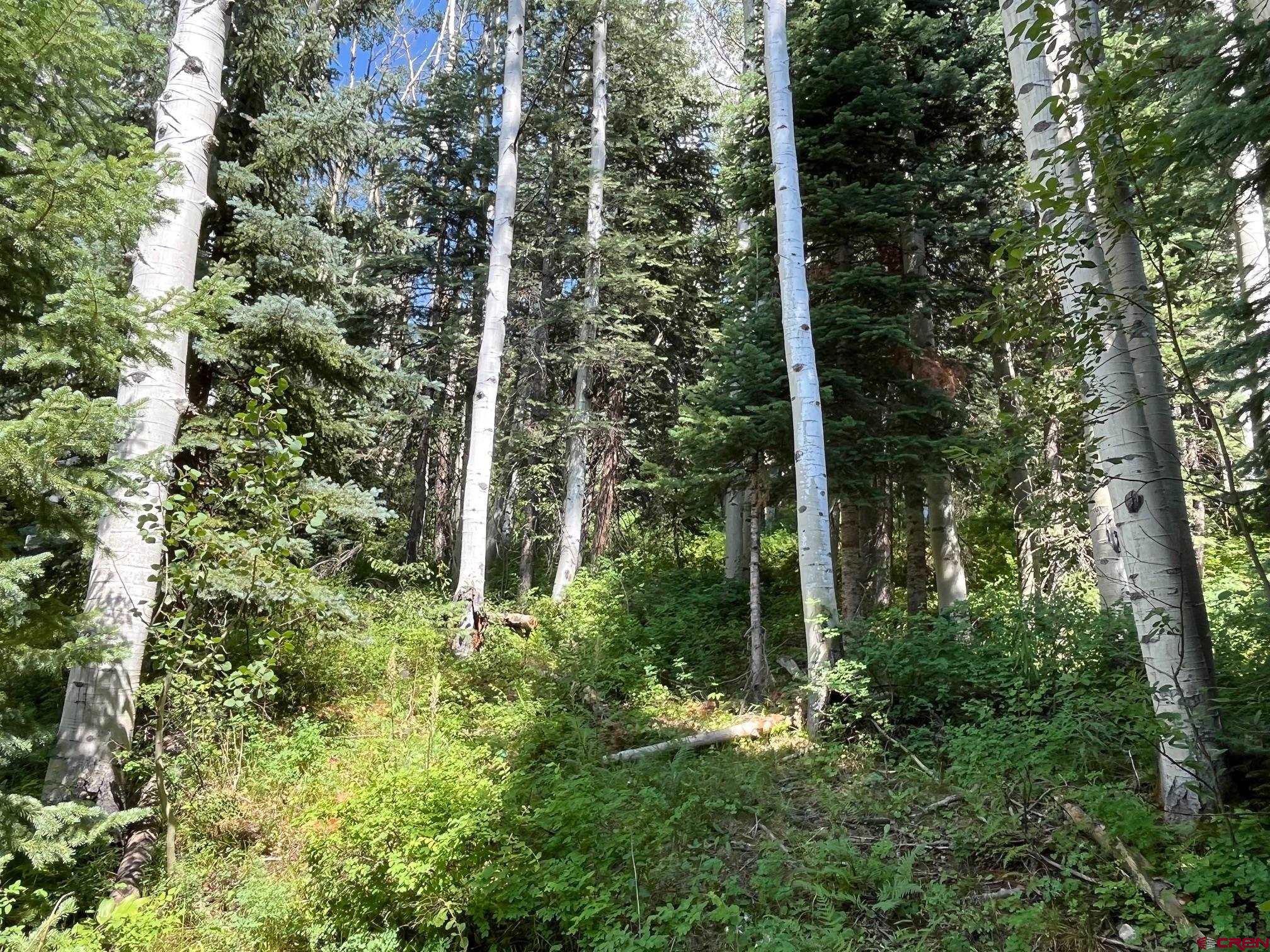 158 Engineer Drive Durango, CO 81301 - Photo 4 of 7